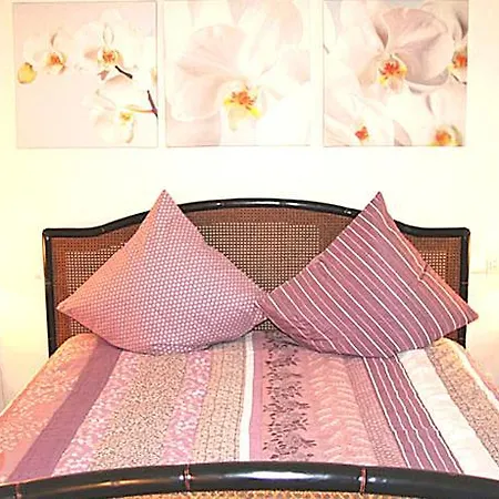 La Rose De Croisette Apartment Cannes